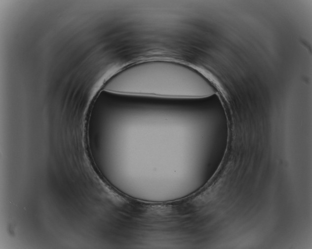 X0000093371333200710111320