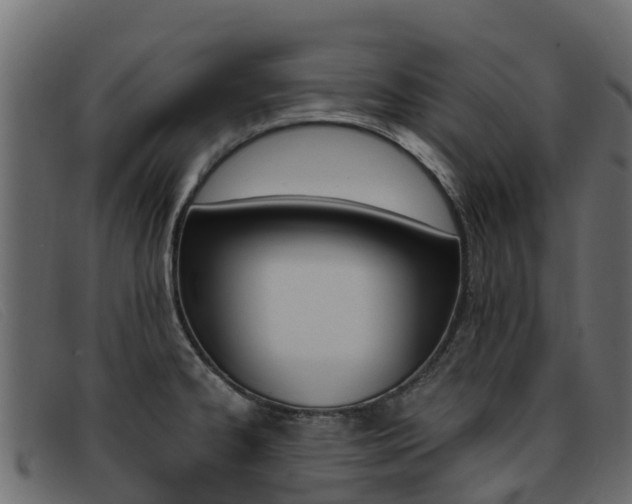 X0000093371334200710111320