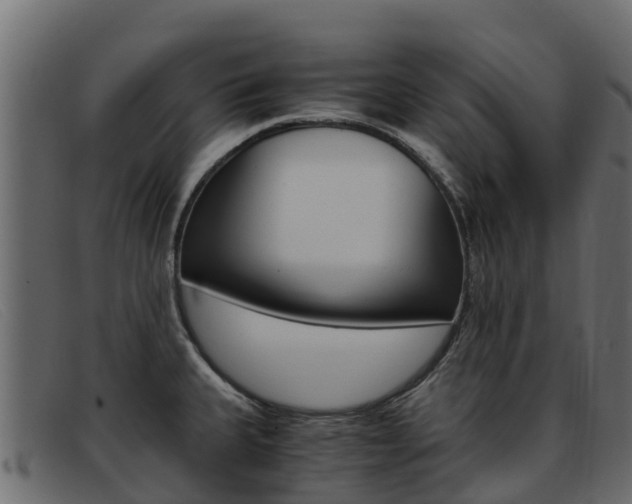 X0000093371335200710111320