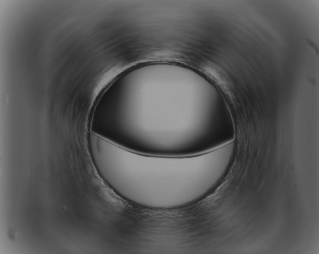 X0000093371336200710111320