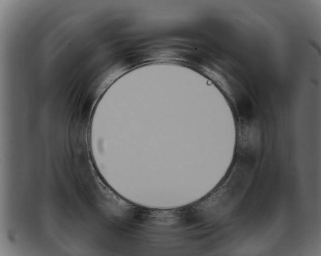 X0000093371338200710111320