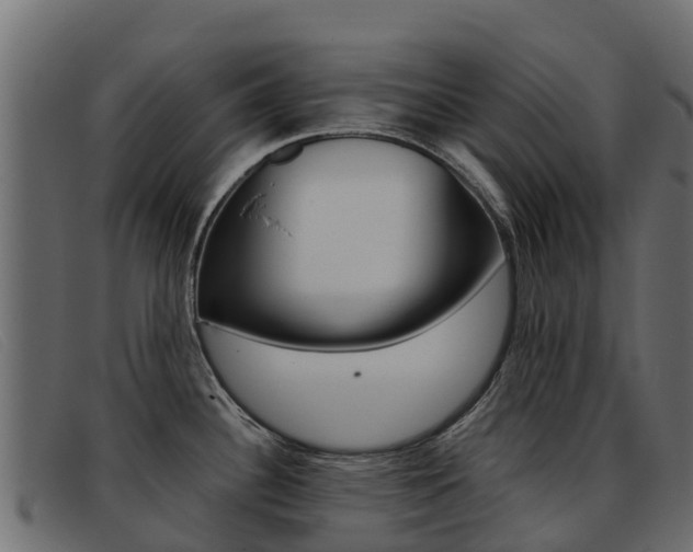 X0000093371340200710111320