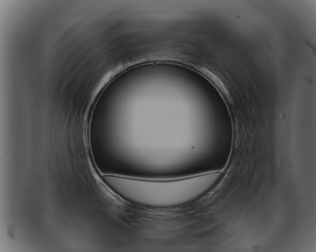X0000093371342200710111320