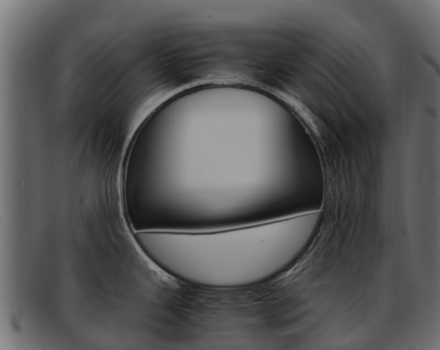 X0000093371343200710111320