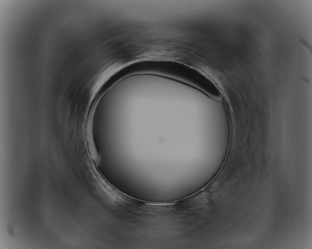 X0000093371344200710111320