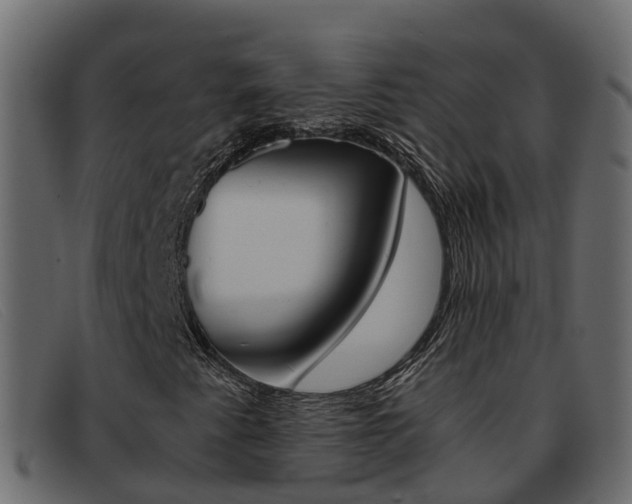 X0000093371345200710111319