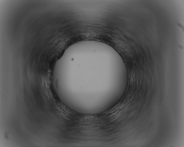 X0000093371346200710111319