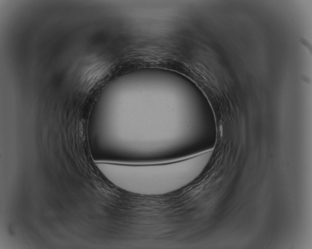X0000093371347200710111319