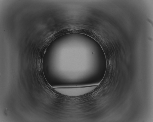 X0000093371348200710111319