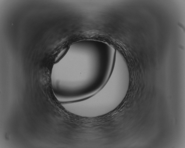 X0000093371349200710111319