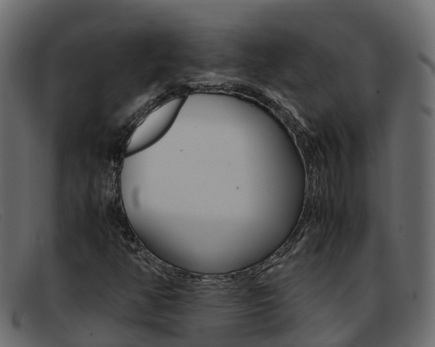 X0000093371350200710111319