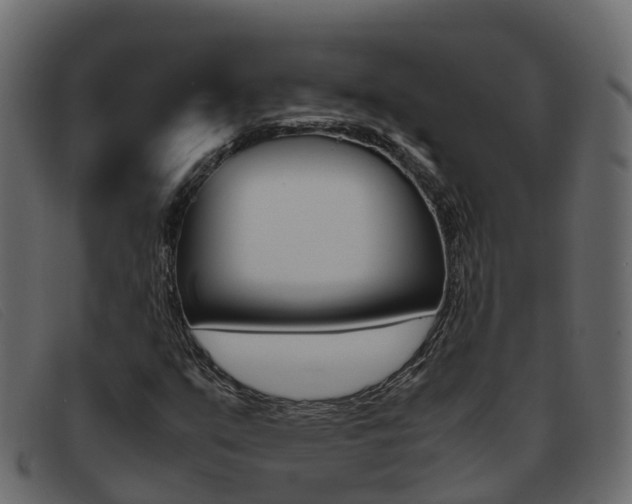 X0000093371351200710111319