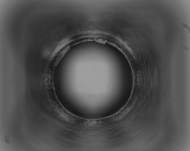 X0000093371352200710111319