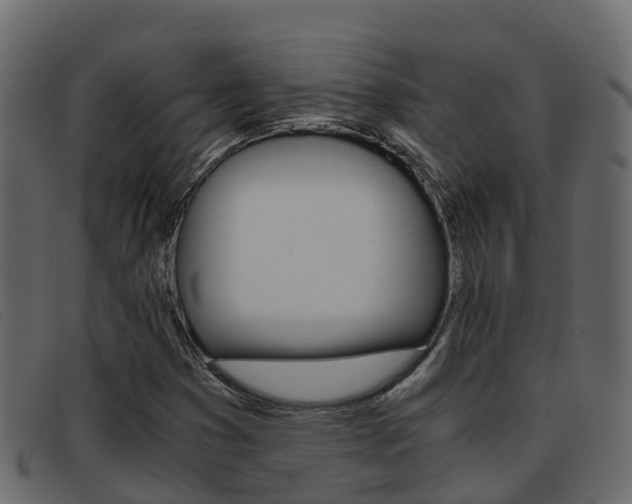 X0000093371353200710111319