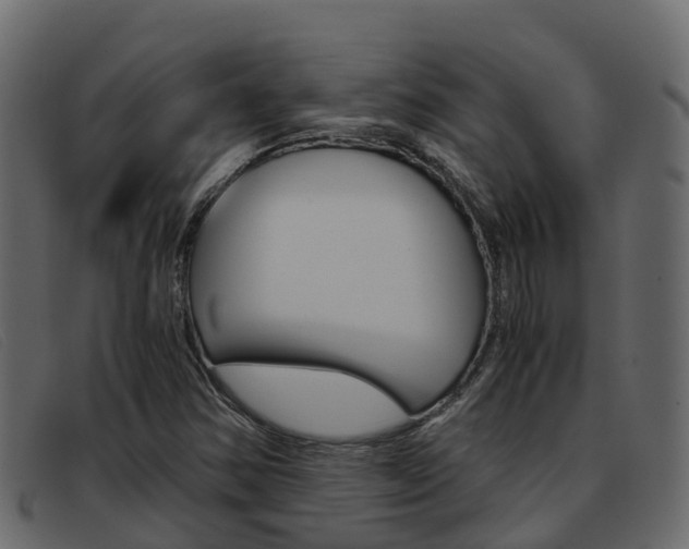 X0000093371354200710111319