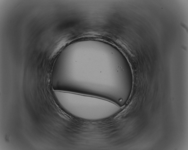 X0000093371355200710111319