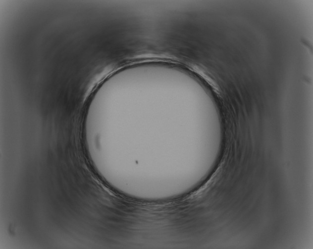 X0000093371357200710111319