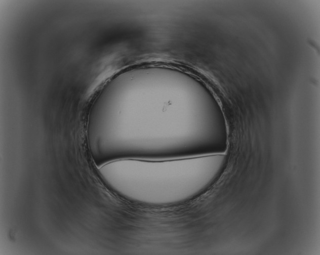 X0000093371359200710111319