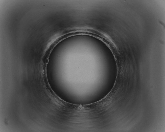 X0000093371360200710111319