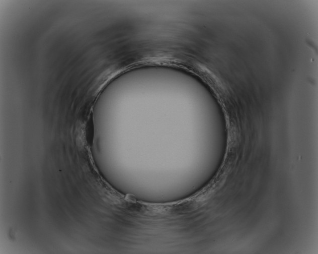 X0000093371361200710111319