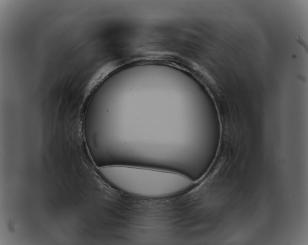 X0000093371362200710111319