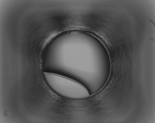 X0000093371363200710111319