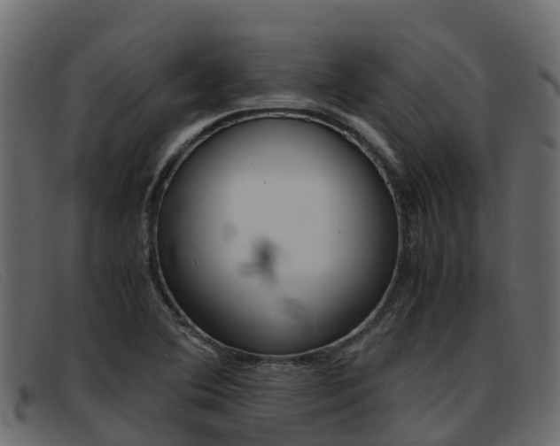X0000093371364200710111319