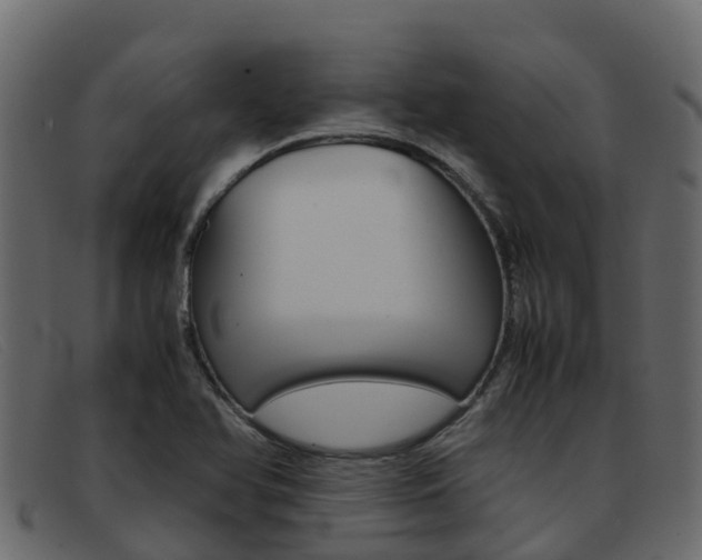 X0000093371366200710111319