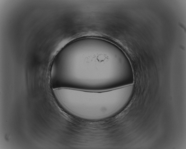 X0000093371367200710111319