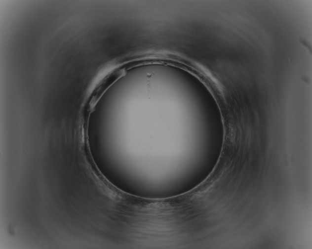 X0000093371368200710111319