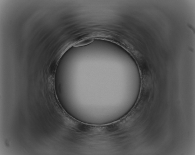 X0000093371369200710111319