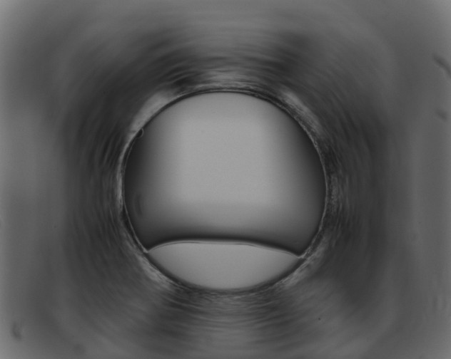 X0000093371370200710111319
