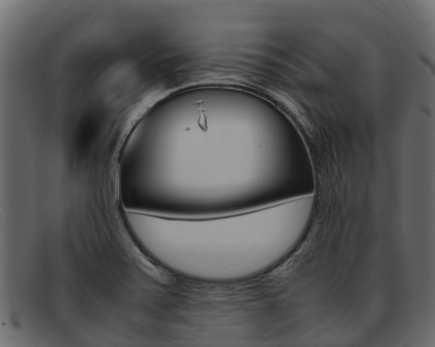 X0000093371371200710111319