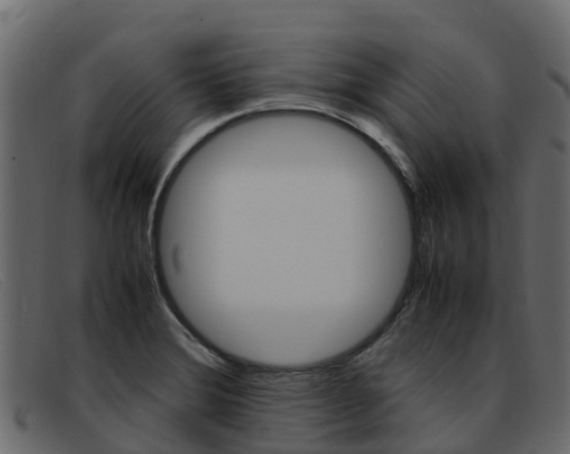 X0000093371372200710111319