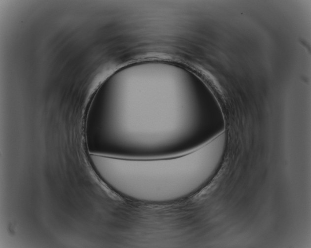 X0000093371373200710111319