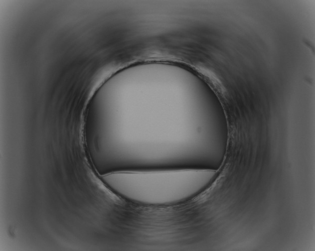 X0000093371374200710111319
