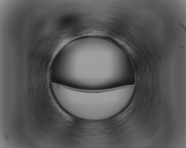 X0000093371375200710111319