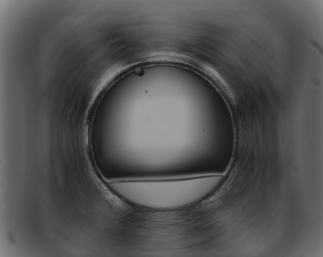 X0000093371376200710111319