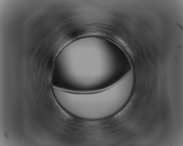 X0000093371377200710111319