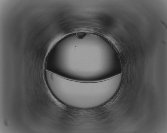 X0000093371379200710111319