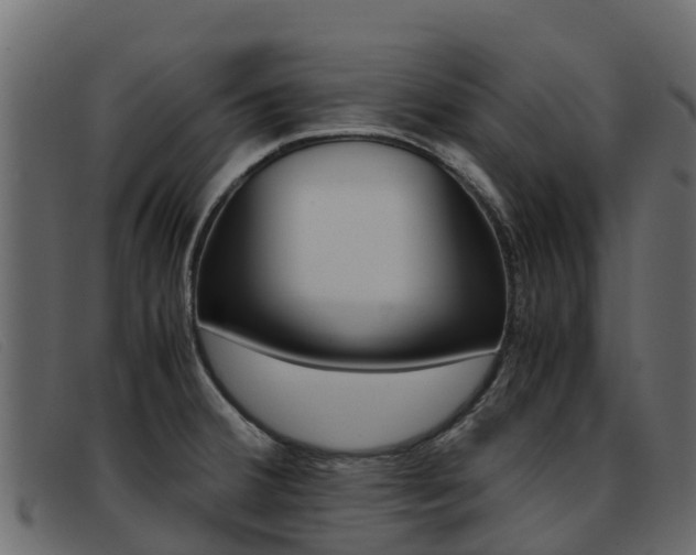X0000093371380200710111319