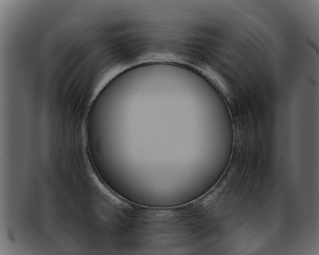 X0000093371382200710111319