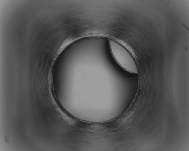 X0000093371383200710111319