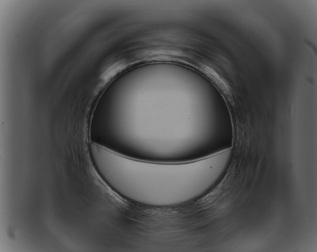 X0000093371384200710111319