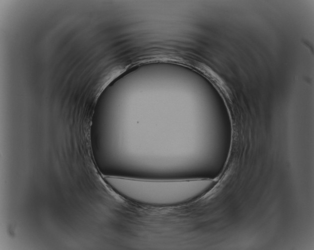 X0000093371385200710111319