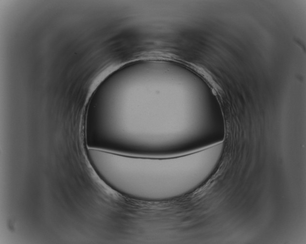 X0000093371387200710111319