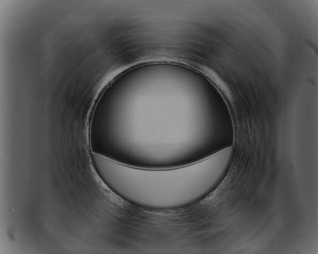X0000093371388200710111319