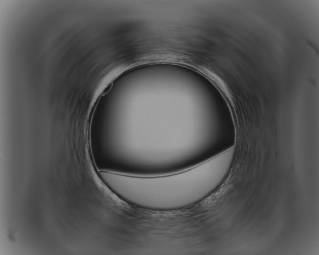 X0000093371389200710111319