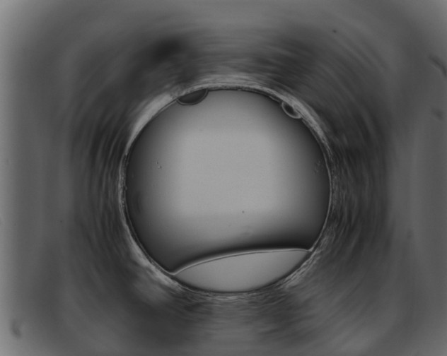 X0000093371390200710111319