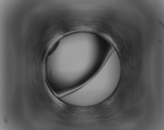 X0000093371391200710111319